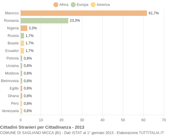 Grafico cittadinanza stranieri - Sagliano Micca 2013