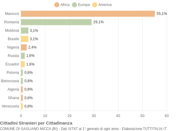 Grafico cittadinanza stranieri - Sagliano Micca 2014