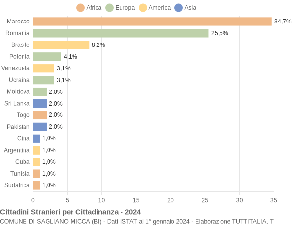 Grafico cittadinanza stranieri - Sagliano Micca 2024