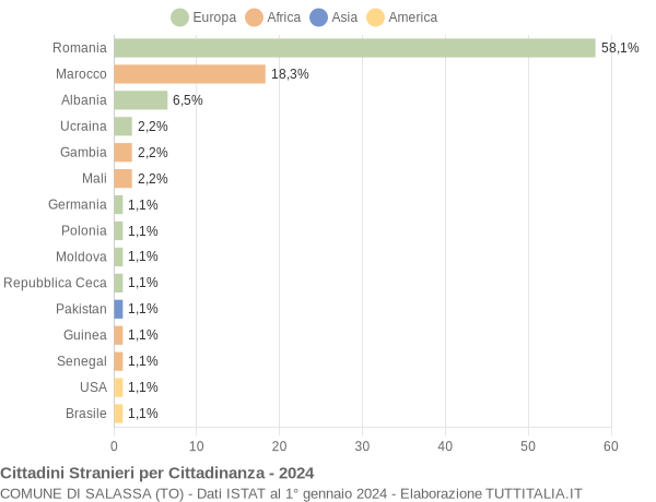 Grafico cittadinanza stranieri - Salassa 2024