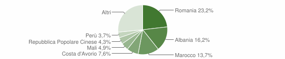 Grafico cittadinanza stranieri - Beinette 2013