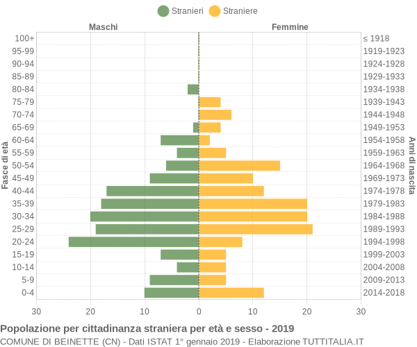 Grafico cittadini stranieri - Beinette 2019