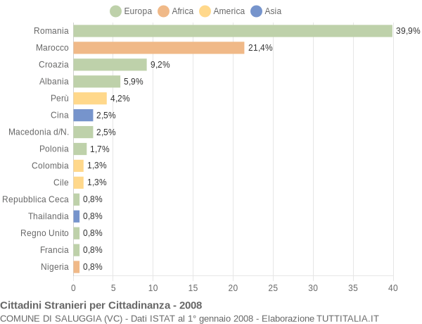 Grafico cittadinanza stranieri - Saluggia 2008