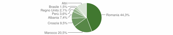 Grafico cittadinanza stranieri - Saluggia 2015