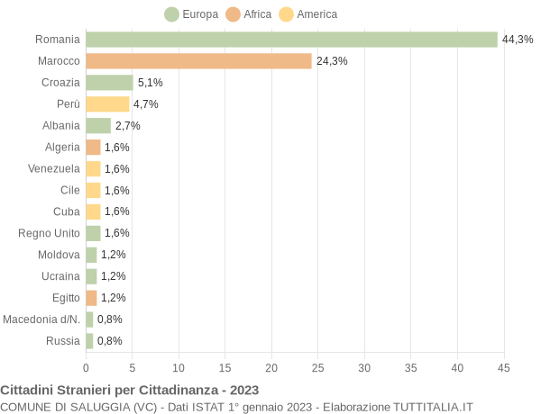 Grafico cittadinanza stranieri - Saluggia 2023