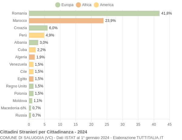 Grafico cittadinanza stranieri - Saluggia 2024