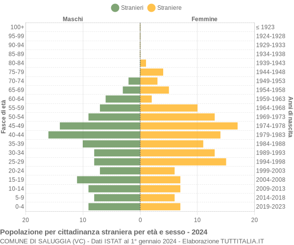 Grafico cittadini stranieri - Saluggia 2024