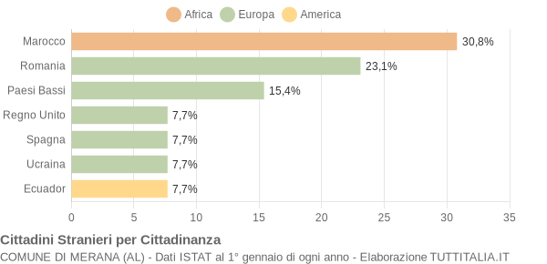 Grafico cittadinanza stranieri - Merana 2008