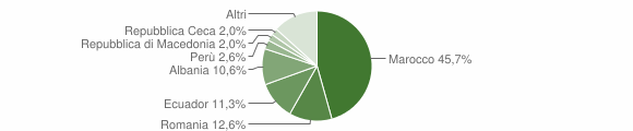 Grafico cittadinanza stranieri - Molare 2012
