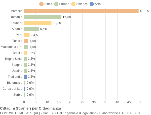 Grafico cittadinanza stranieri - Molare 2013