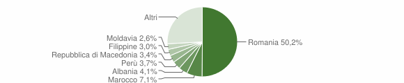 Grafico cittadinanza stranieri - Pianezza 2007