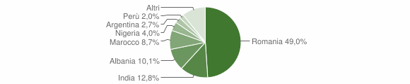Grafico cittadinanza stranieri - Scalenghe 2013
