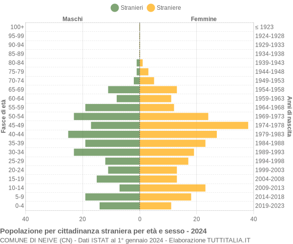 Grafico cittadini stranieri - Neive 2024