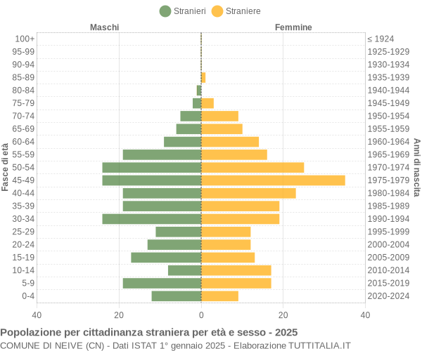 Grafico cittadini stranieri - Neive 2025