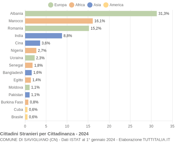 Grafico cittadinanza stranieri - Savigliano 2024