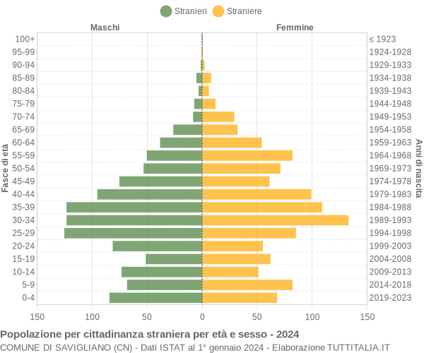 Grafico cittadini stranieri - Savigliano 2024