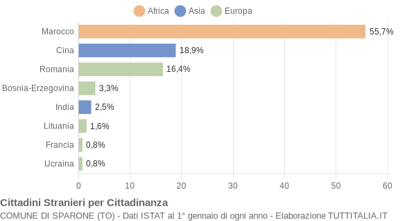 Grafico cittadinanza stranieri - Sparone 2009