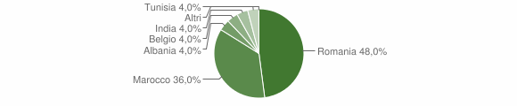 Grafico cittadinanza stranieri - Cardè 2011