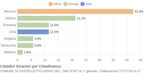 Grafico cittadinanza stranieri - Castelletto Cervo 2004