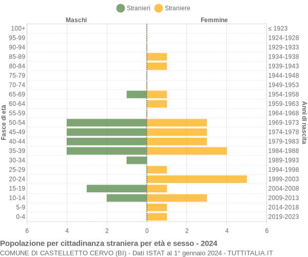 Grafico cittadini stranieri - Castelletto Cervo 2024