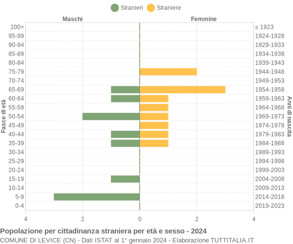 Grafico cittadini stranieri - Levice 2024