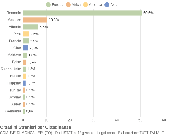 Grafico cittadinanza stranieri - Moncalieri 2009