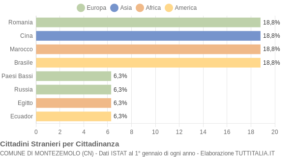 Grafico cittadinanza stranieri - Montezemolo 2010