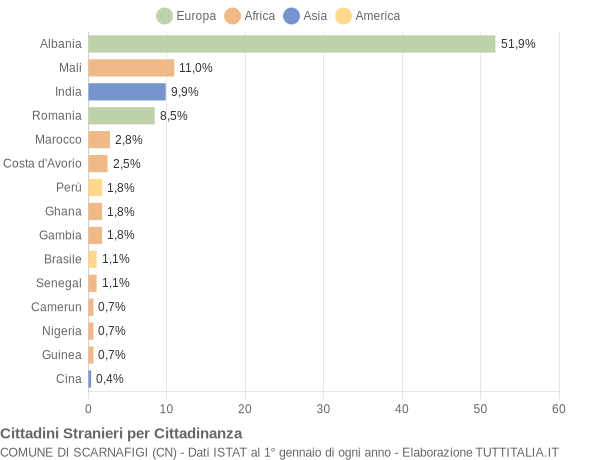 Grafico cittadinanza stranieri - Scarnafigi 2022