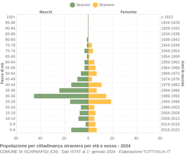 Grafico cittadini stranieri - Scarnafigi 2024