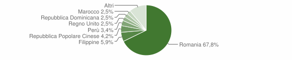 Grafico cittadinanza stranieri - Sciolze 2013