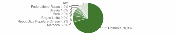Grafico cittadinanza stranieri - Sciolze 2016
