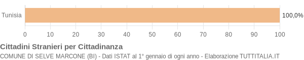 Grafico cittadinanza stranieri - Selve Marcone 2004