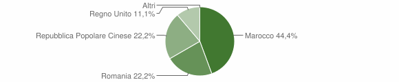 Grafico cittadinanza stranieri - Gifflenga 2010