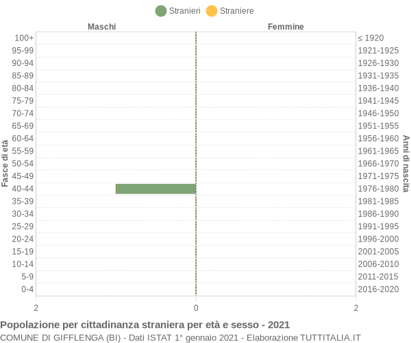 Grafico cittadini stranieri - Gifflenga 2021