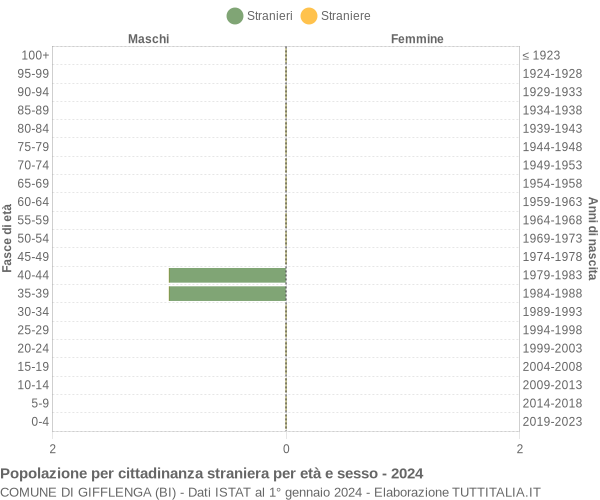 Grafico cittadini stranieri - Gifflenga 2024