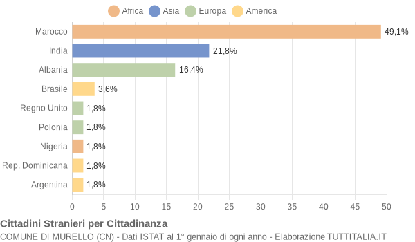 Grafico cittadinanza stranieri - Murello 2007