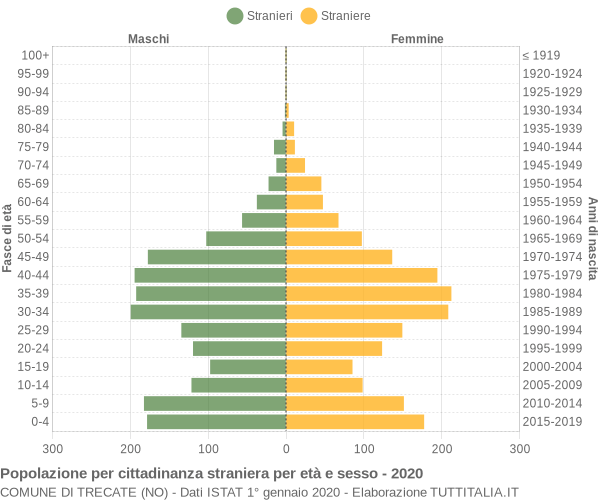 Grafico cittadini stranieri - Trecate 2020