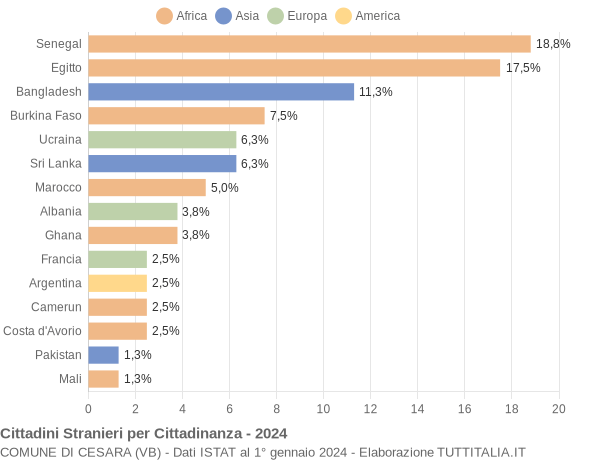 Grafico cittadinanza stranieri - Cesara 2024