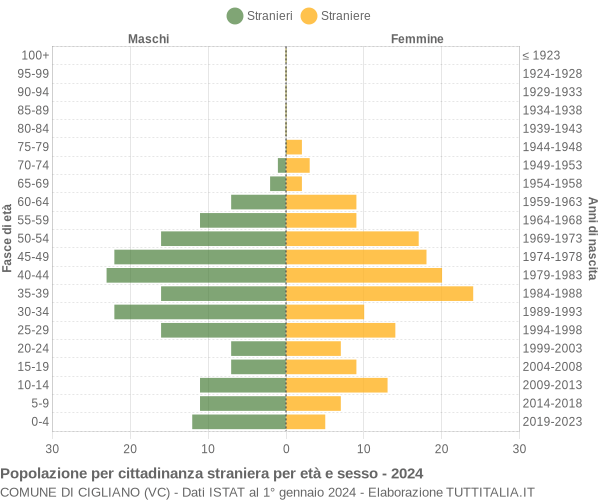 Grafico cittadini stranieri - Cigliano 2024