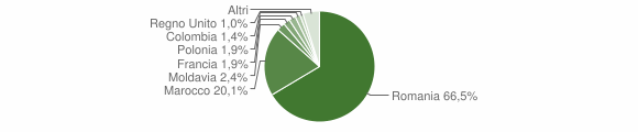 Grafico cittadinanza stranieri - Condove 2010