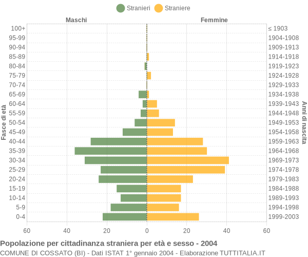 Grafico cittadini stranieri - Cossato 2004
