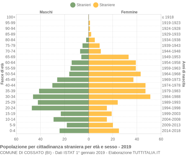 Grafico cittadini stranieri - Cossato 2019