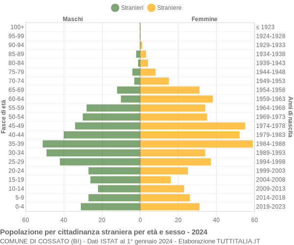 Grafico cittadini stranieri - Cossato 2024