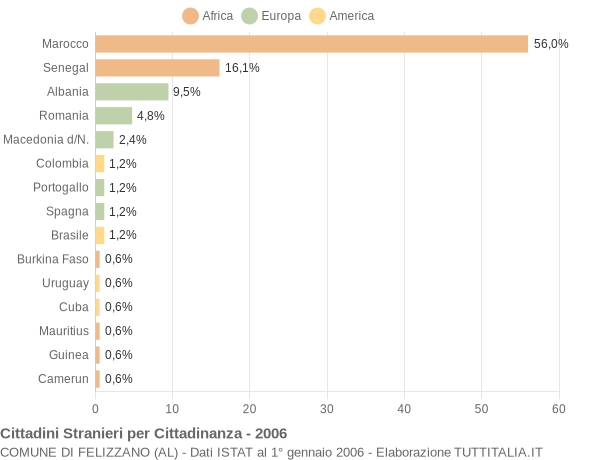 Grafico cittadinanza stranieri - Felizzano 2006