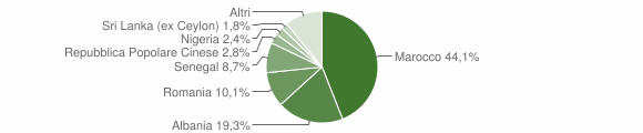 Grafico cittadinanza stranieri - Trino 2010