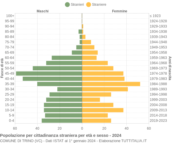 Grafico cittadini stranieri - Trino 2024