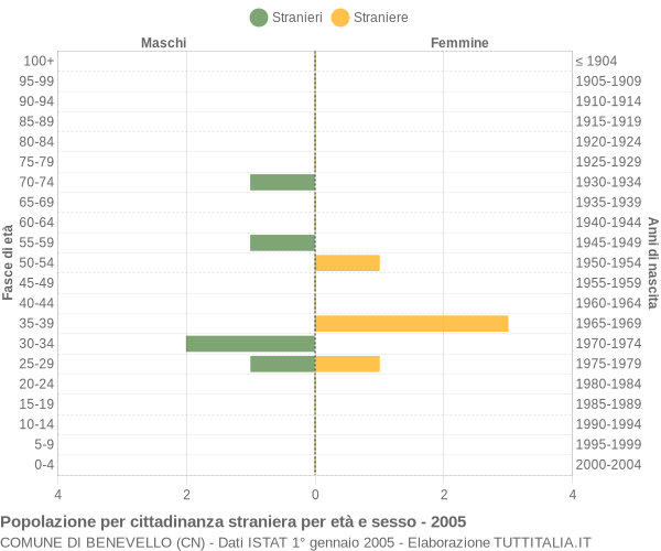Grafico cittadini stranieri - Benevello 2005