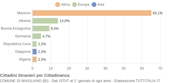 Grafico cittadinanza stranieri - Miagliano 2006