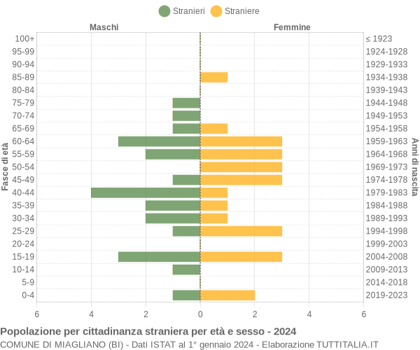 Grafico cittadini stranieri - Miagliano 2024