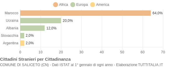 Grafico cittadinanza stranieri - Saliceto 2005